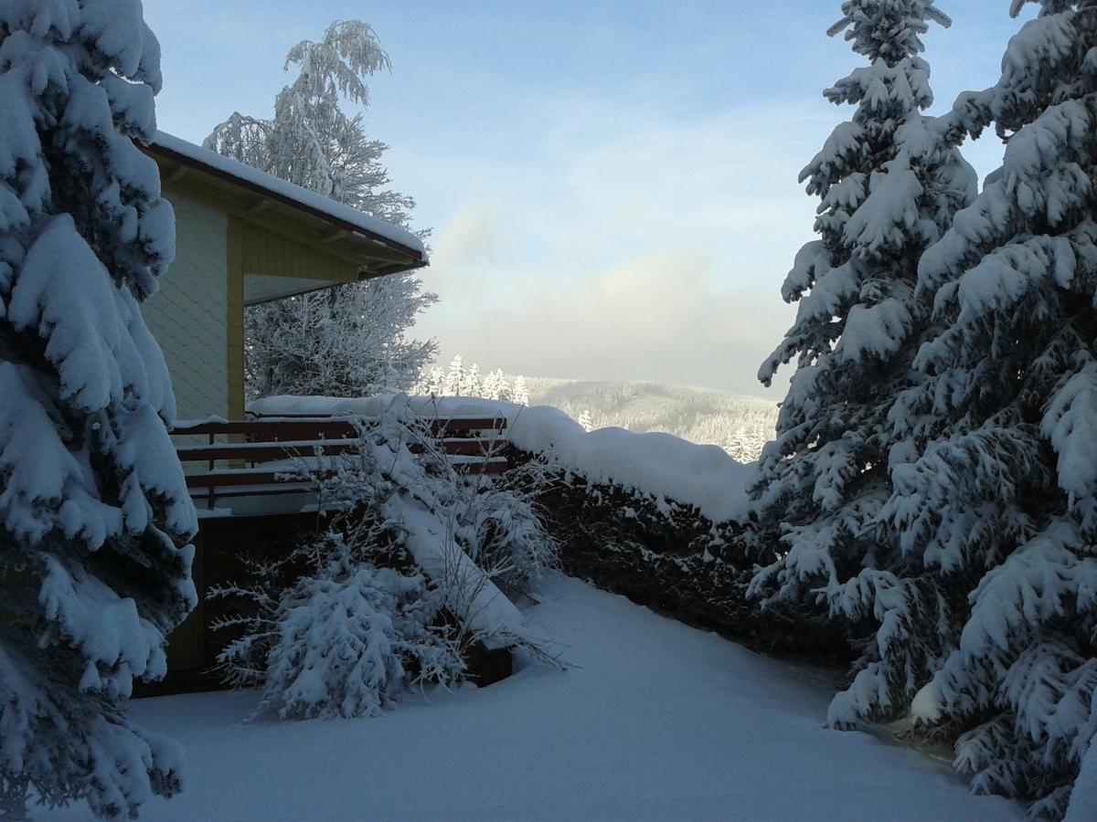 Haus Brockenblick